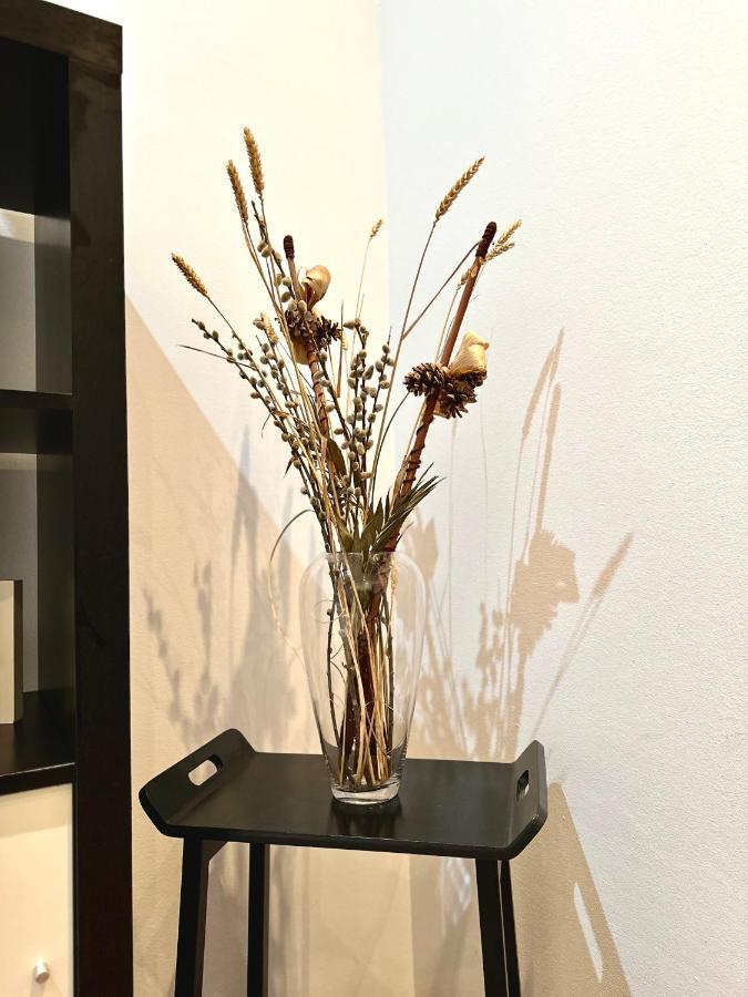 טימישוארה Harmony Homes- Piata Unirii Central Apartament מראה חיצוני תמונה