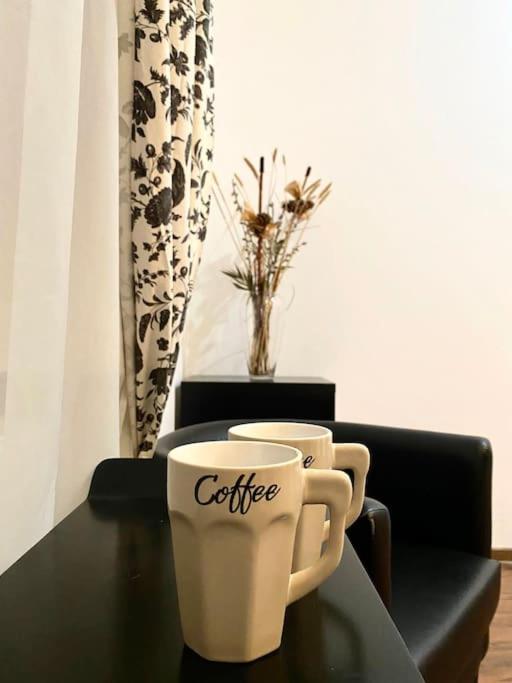 טימישוארה Harmony Homes- Piata Unirii Central Apartament מראה חיצוני תמונה