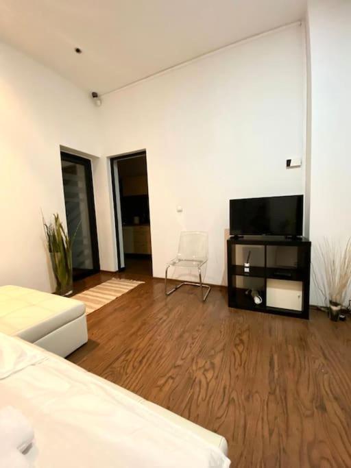 טימישוארה Harmony Homes- Piata Unirii Central Apartament מראה חיצוני תמונה