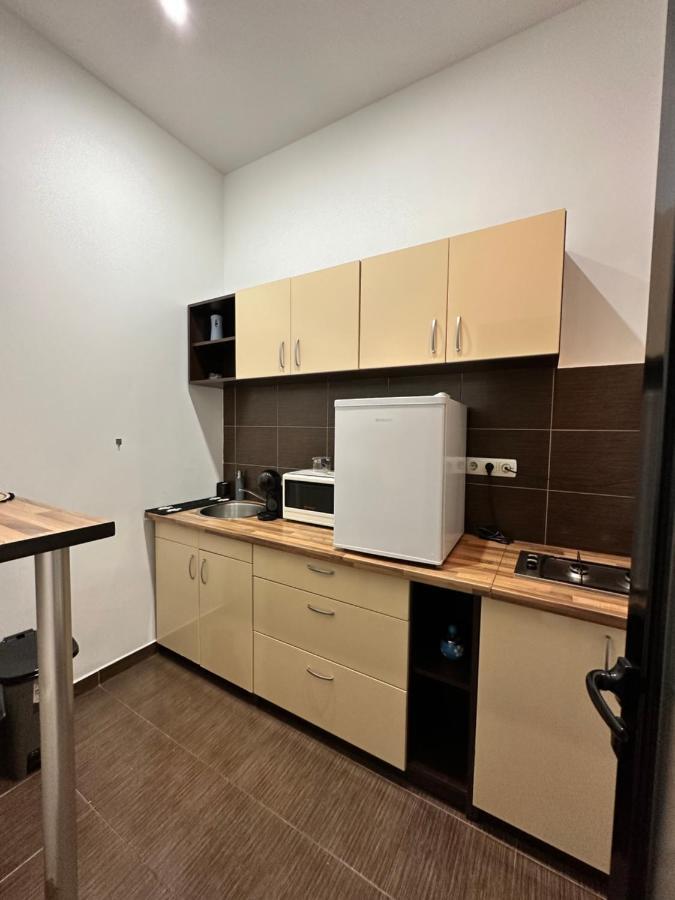 טימישוארה Harmony Homes- Piata Unirii Central Apartament מראה חיצוני תמונה