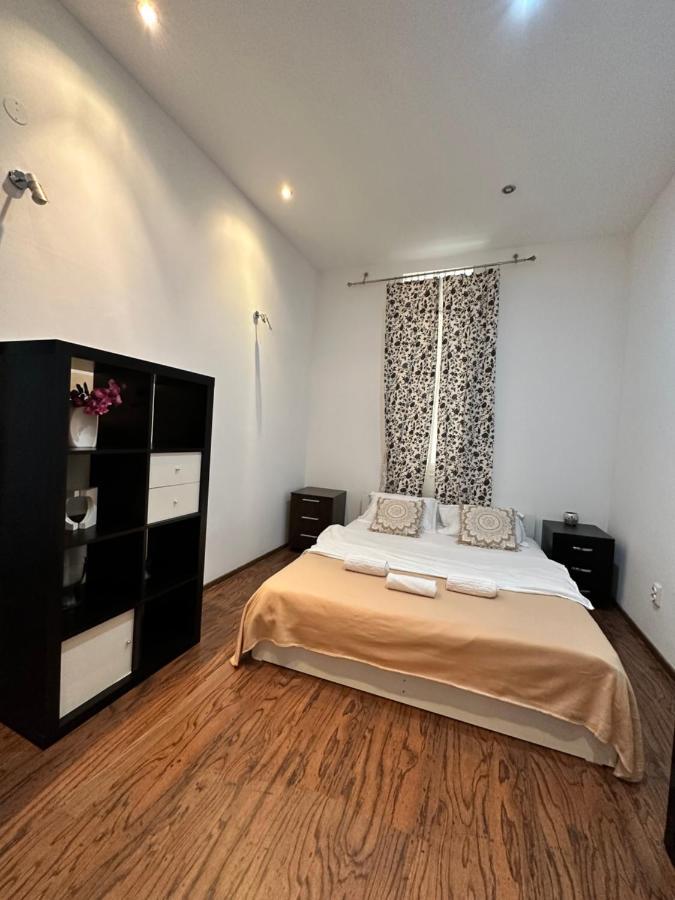טימישוארה Harmony Homes- Piata Unirii Central Apartament מראה חיצוני תמונה