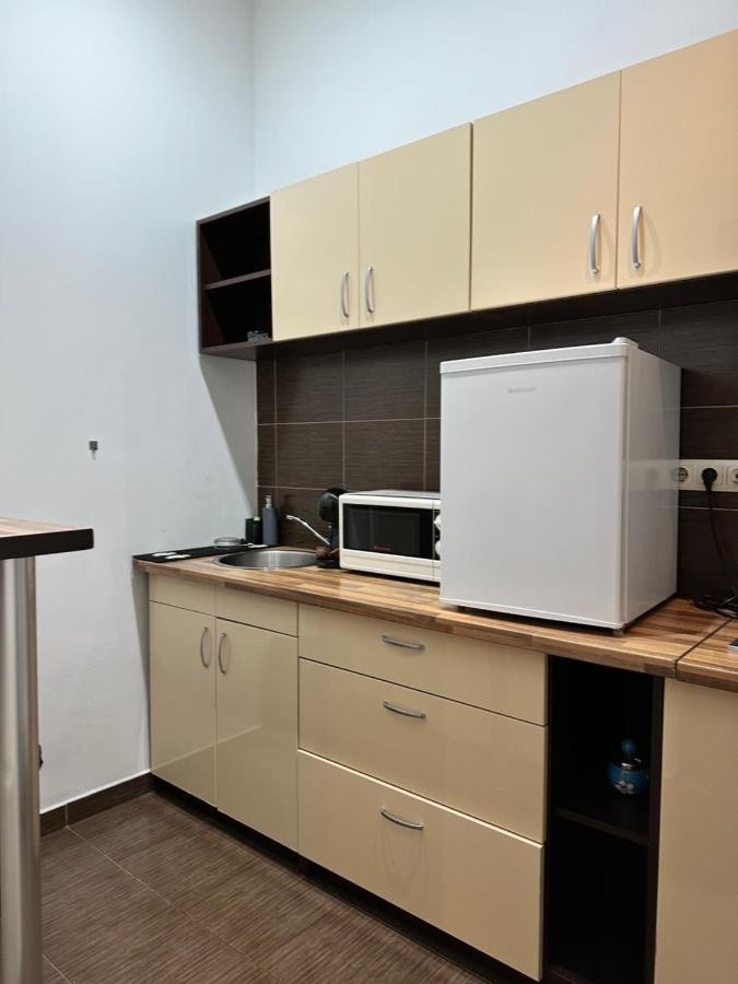 טימישוארה Harmony Homes- Piata Unirii Central Apartament מראה חיצוני תמונה