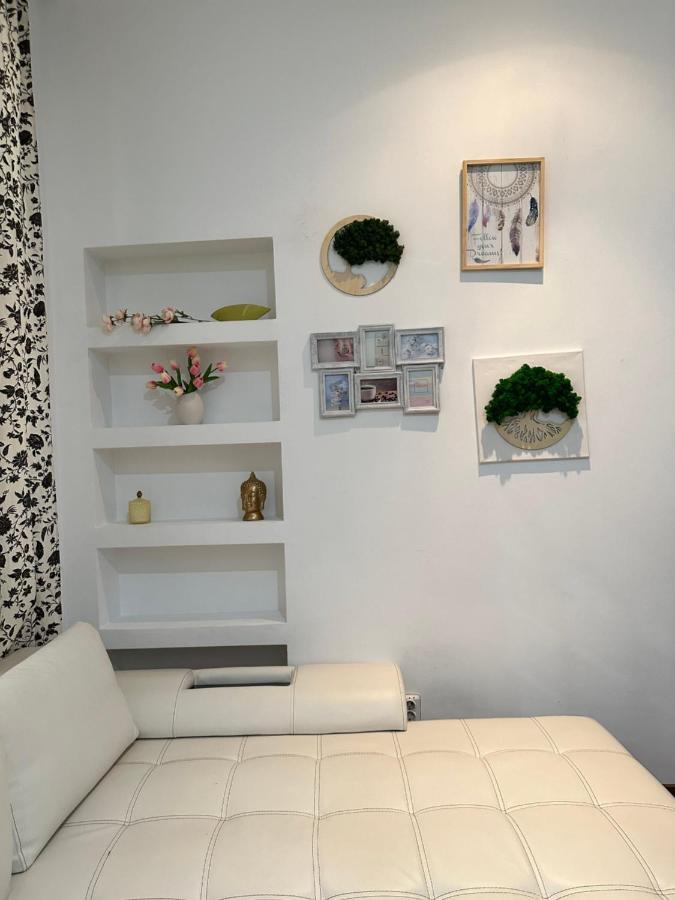 טימישוארה Harmony Homes- Piata Unirii Central Apartament מראה חיצוני תמונה